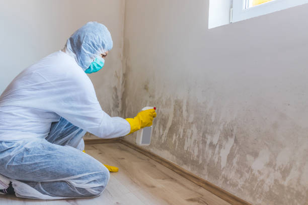 Hvac And Air Duct Mold Remediation inspection of HVAC system in Spring House