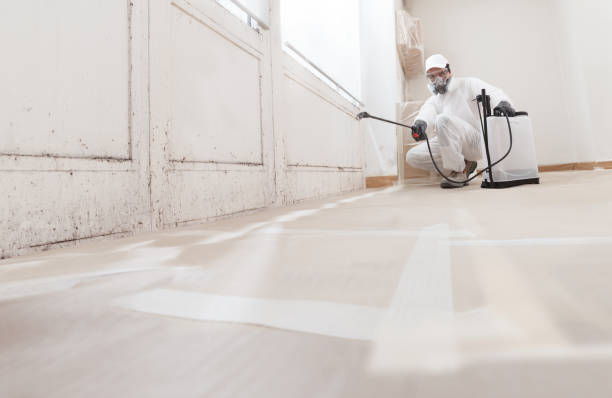 Post-remediation clearance in Spring House